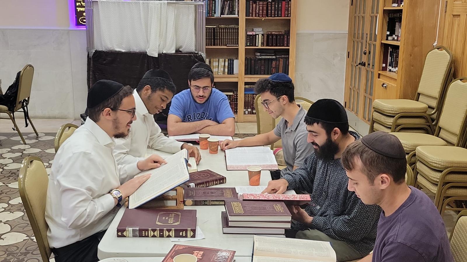 Chavrusah learning